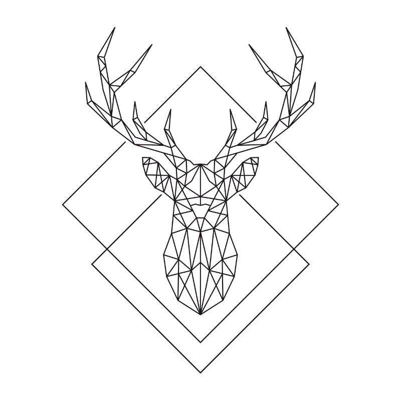 Polygon Hirsch