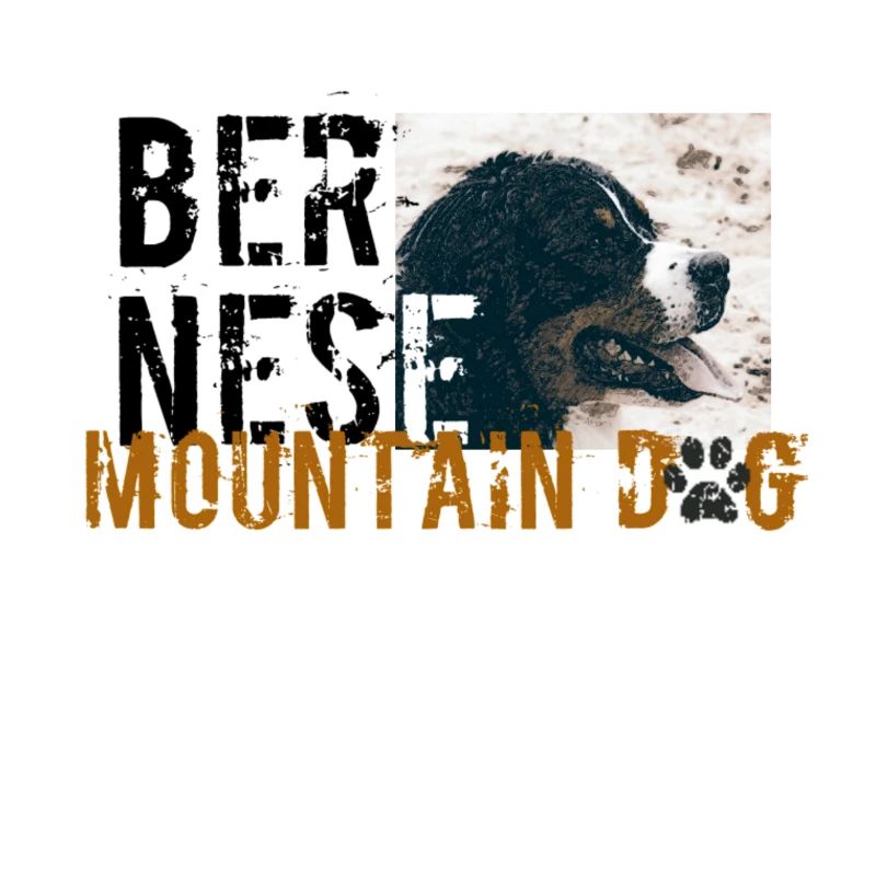 Berner Mountaindog