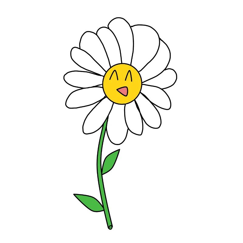 Gänseblümchen
