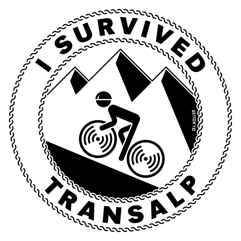 I Survived Transalp (Alpes / Vélo De Course / B)