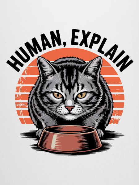 Mensch Explain Katze