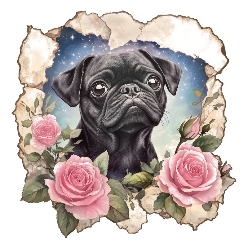 Schwarzer Mops