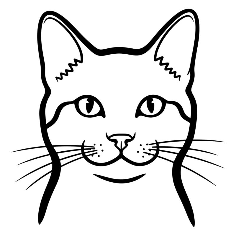 Cat Minimal Animals Doodle