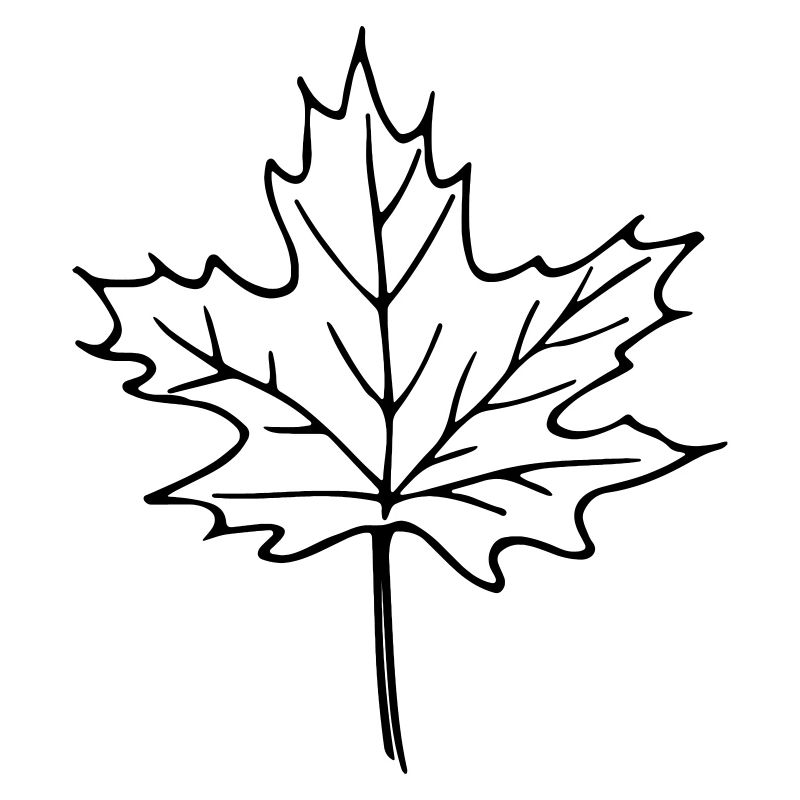leaf_1