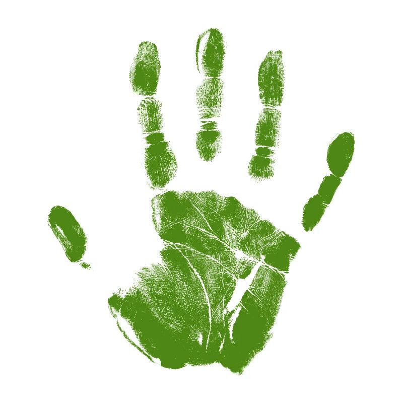 Empreinte de main peinte identité doigts et vert palmier