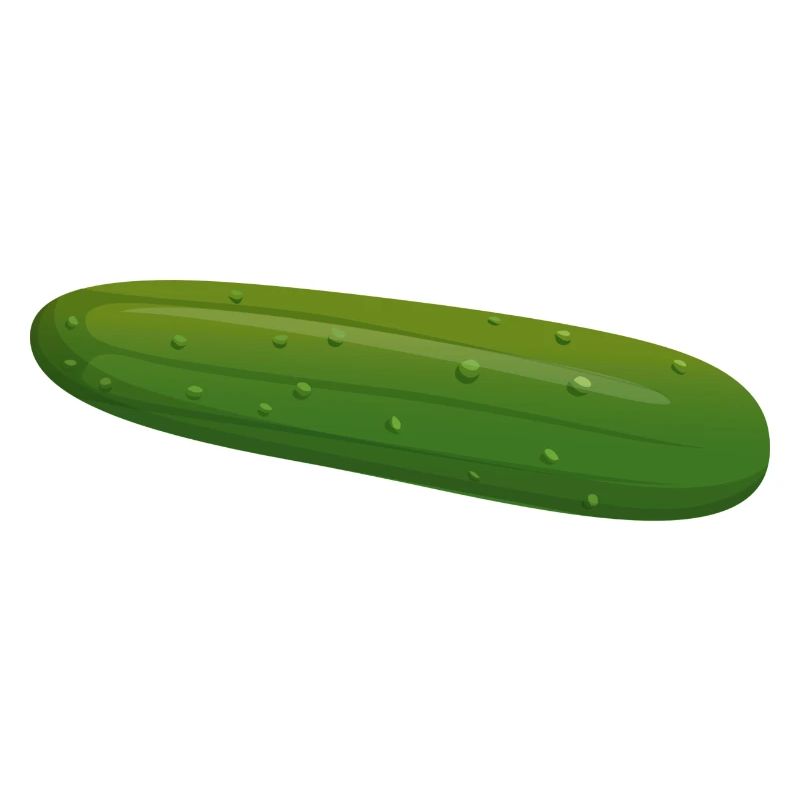gurken cucumber cucumbers veggie gemuese vegetable
