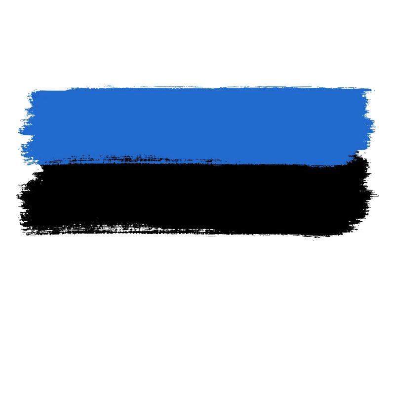 Look du drapeau estonien utilisé