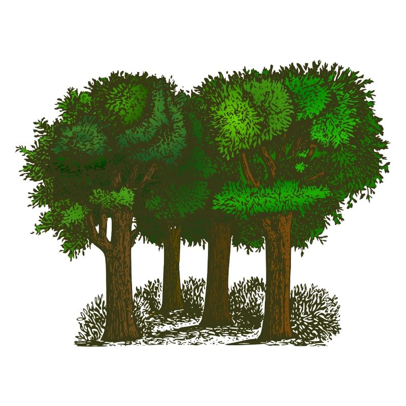 Wald