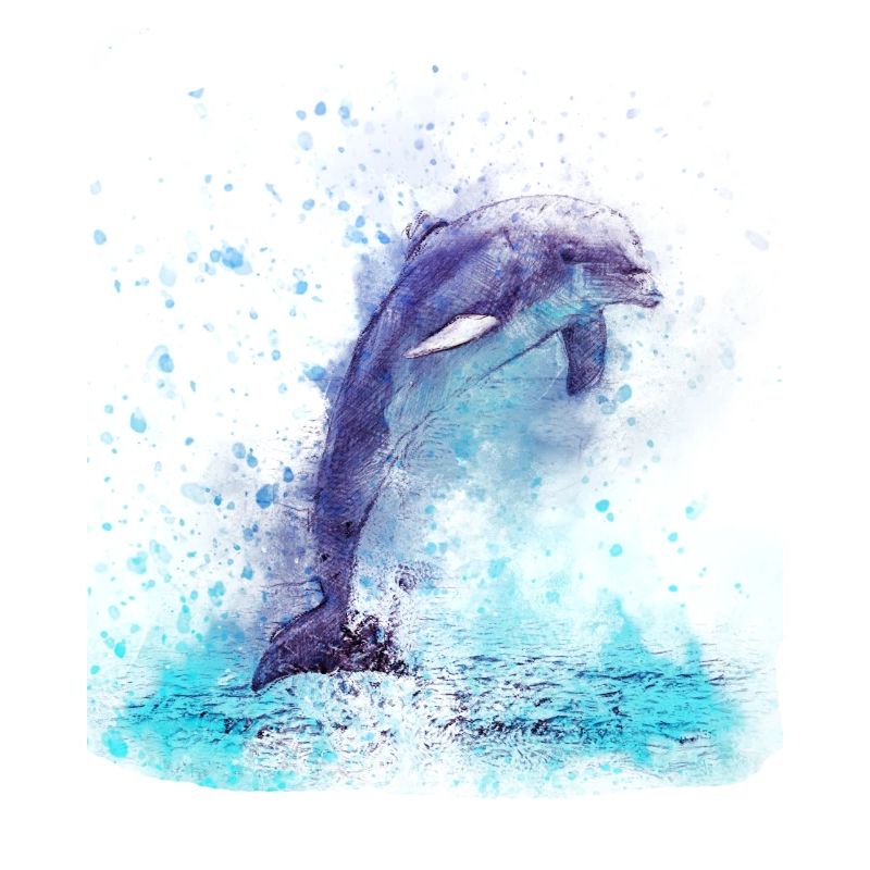 Delfin