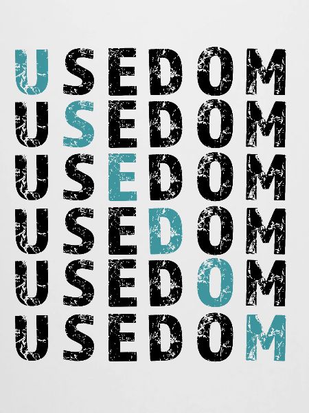 USEDOM Raster