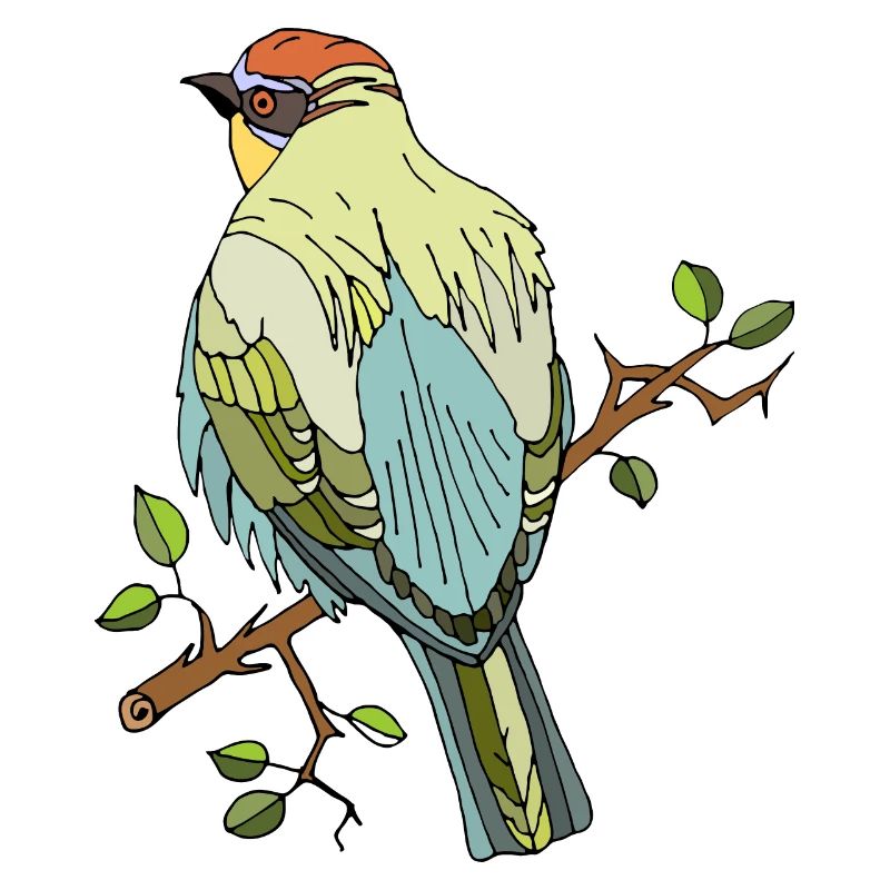Oiseau