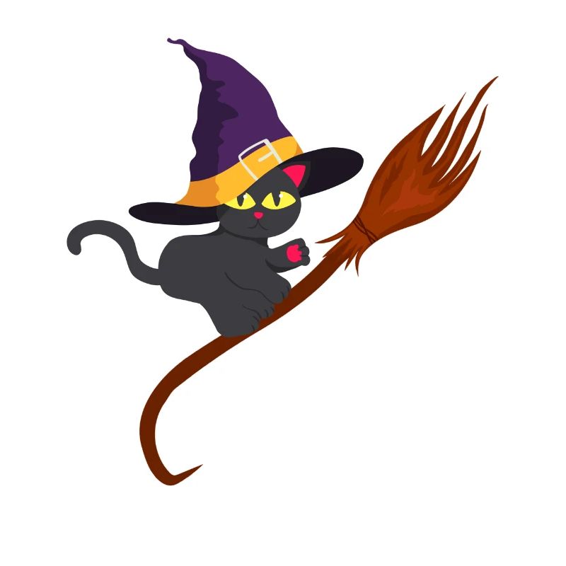 Chat sorcière un chat sorcière sur le balai Halloween