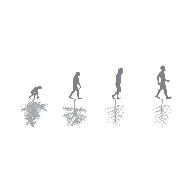 Evolution - Umwelt - Sarkasmus - Natur - Geschenk