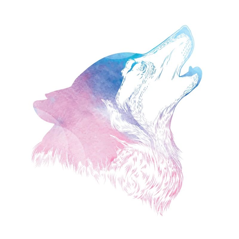 husky