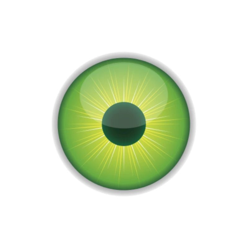 eye