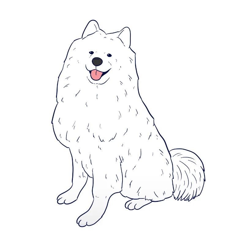 Samoyed