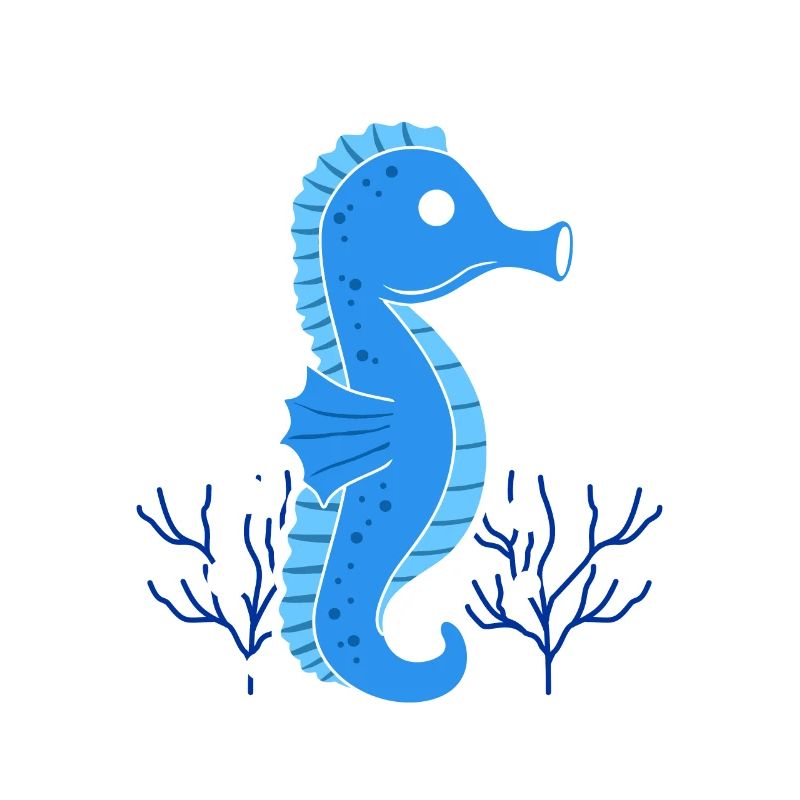 Seepferdchen