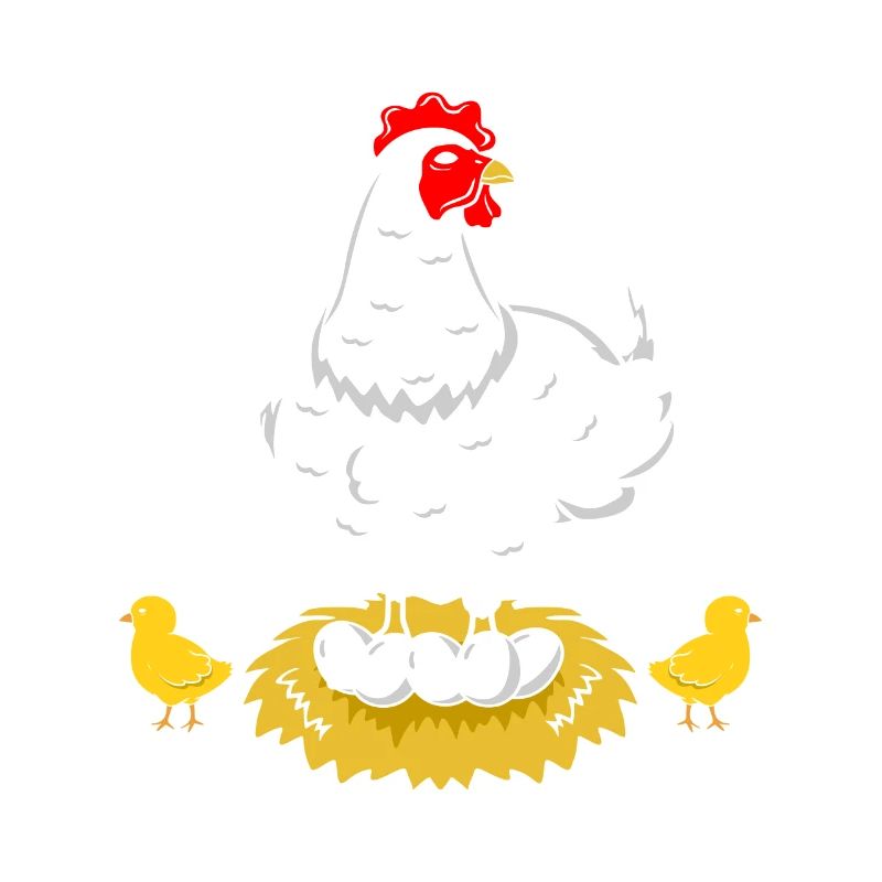 Chicken hen rooster eggs