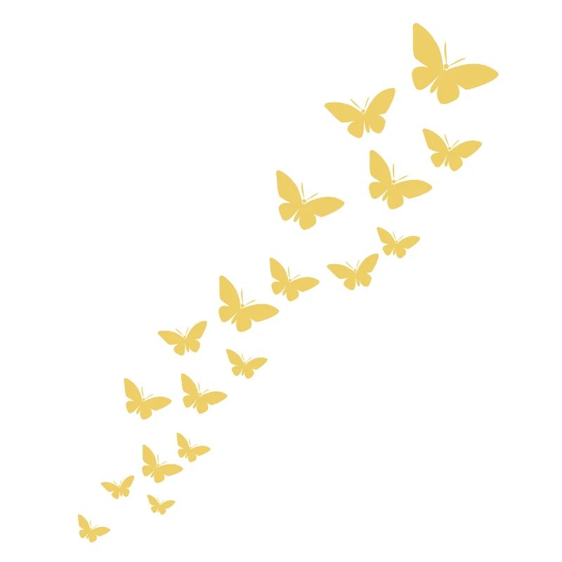 Papillon papillon