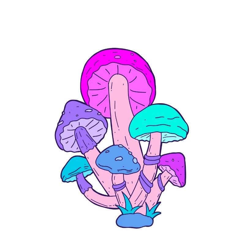 Lets take a trip LSD Acid Champignons Party Drogue