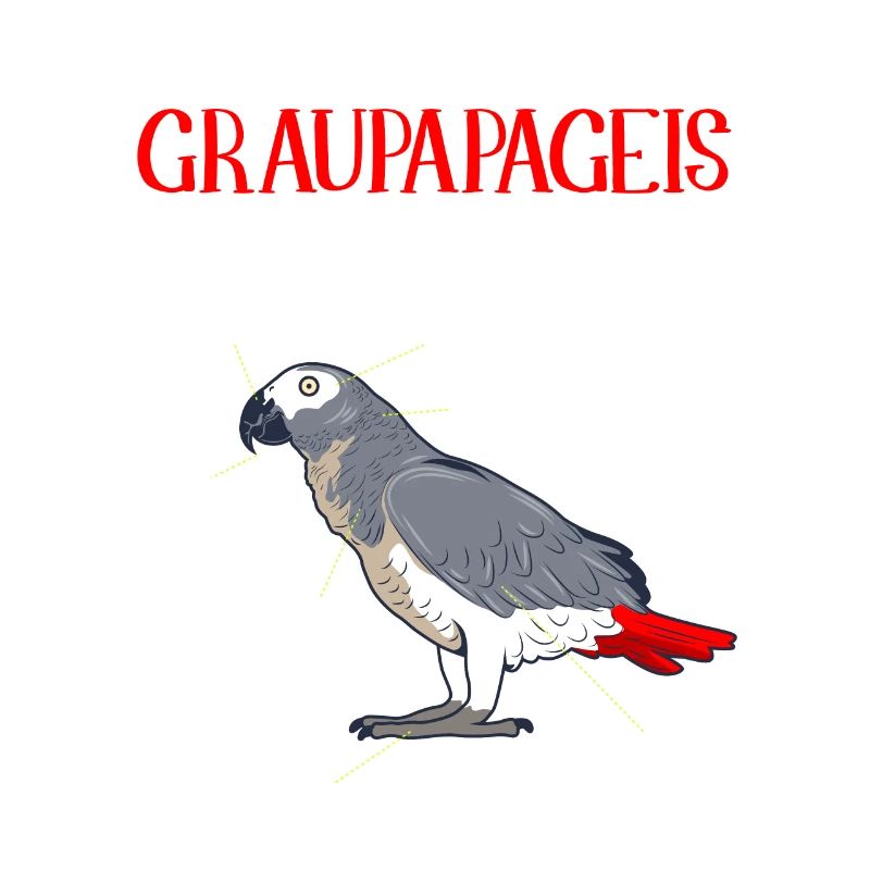 Anatomie eines Graupapageis Vogel Vogelhalter