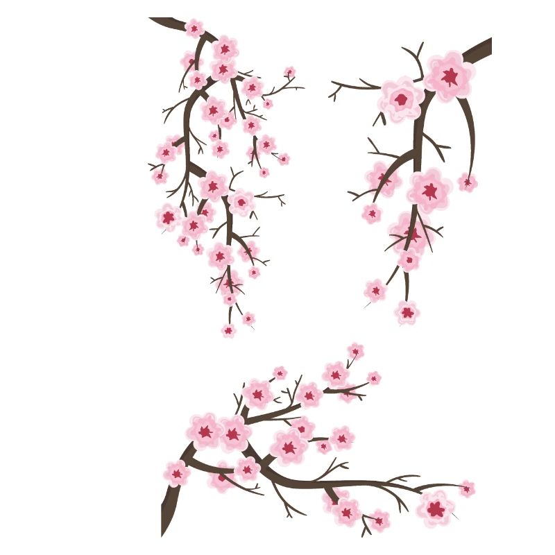 Japanese Cherry Blossom Sakura