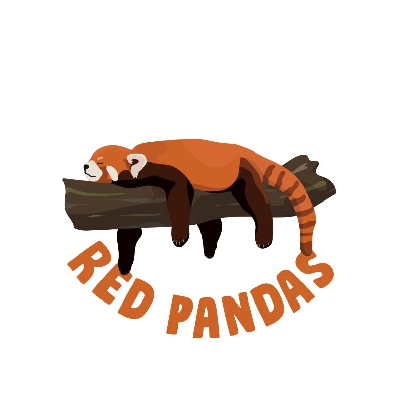 Red Panda Panda Bear