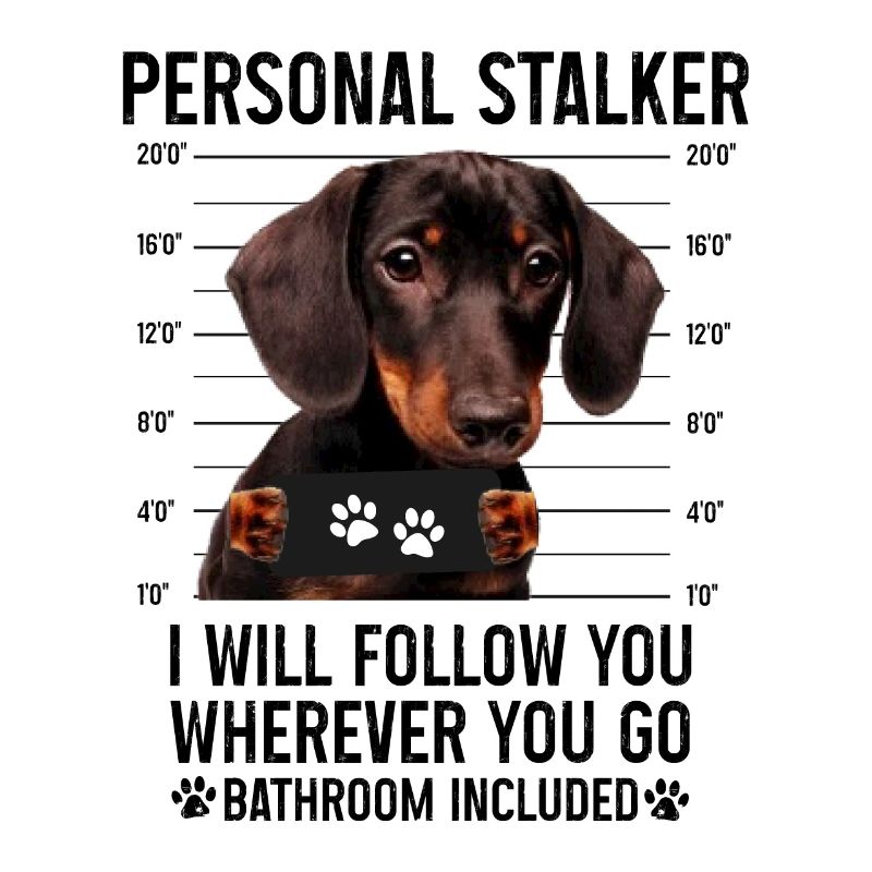 Persönlicher Stalker Ich werde dir folgen, Dackel