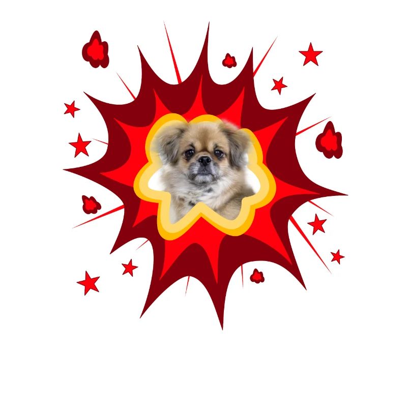 Comic Dog Design - Pow - Tibetan Spaniel