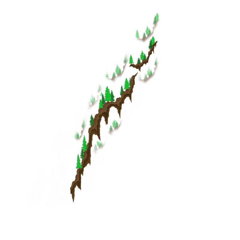 Forest uphill