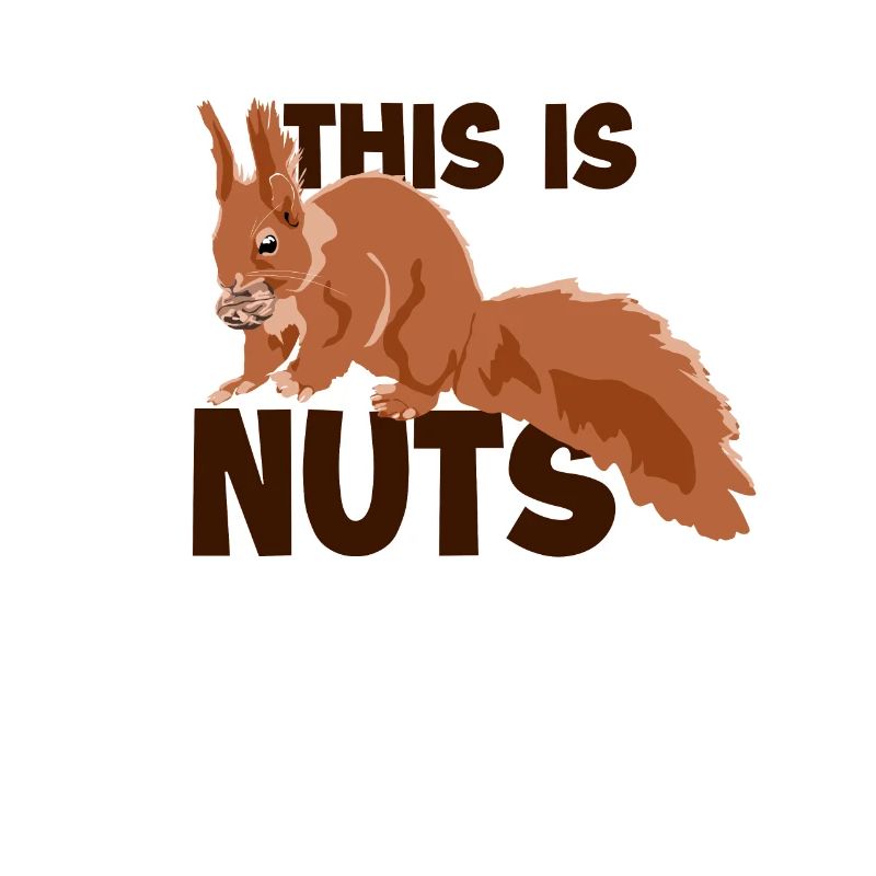 This Is Nuts Fuchshörnchen Grauhörnchen