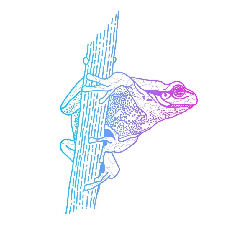 Tree Frog Toad Tadpole Frog Breeder Frog