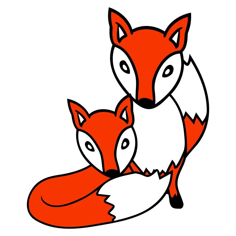 2 Foxes Friends Red Fox Two Wild Animals Team