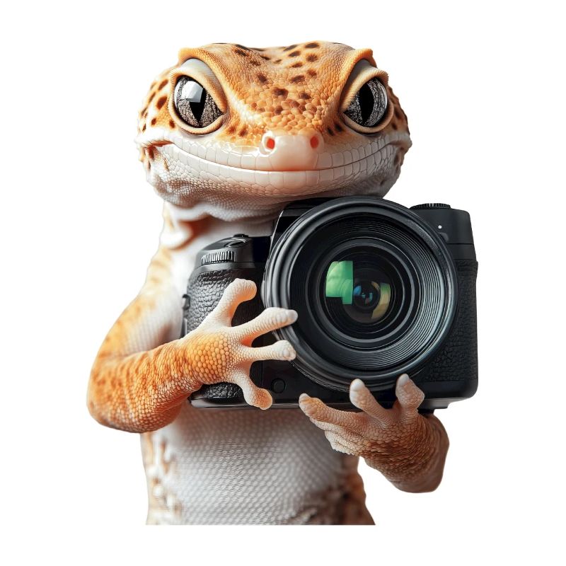 Leopardgecko
