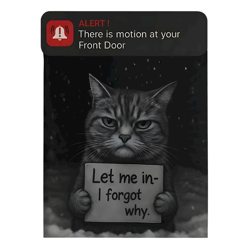 Cat a un message pour vous - Funnier