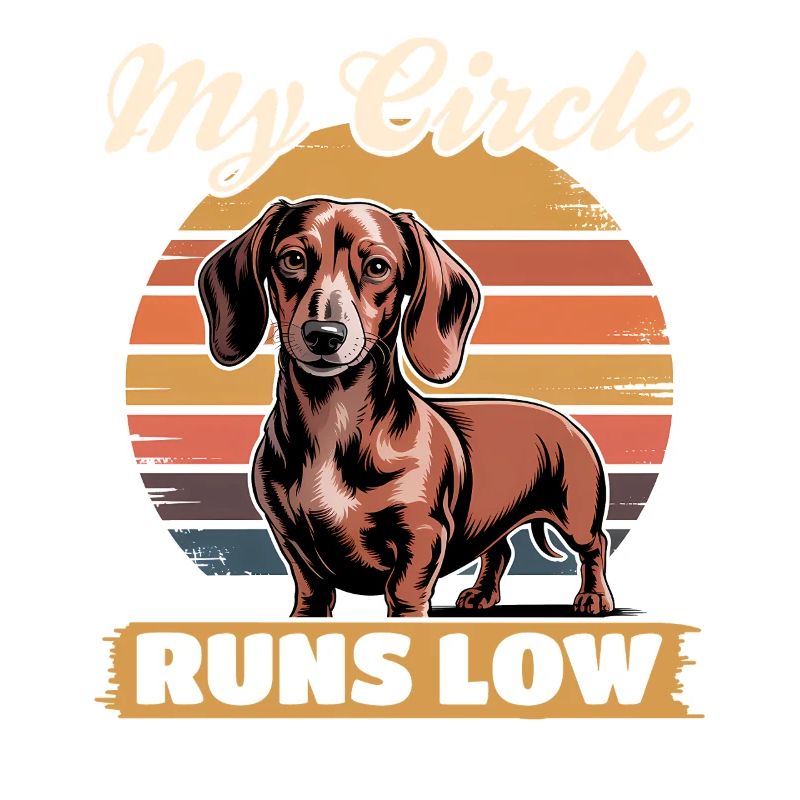 Teckel de race de chien drôle