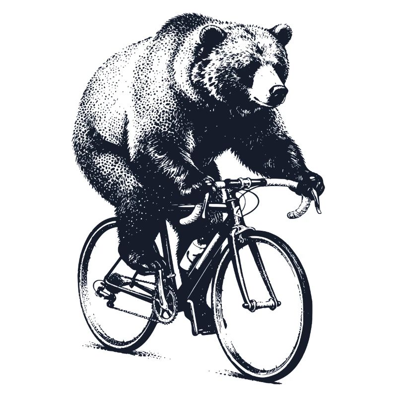 Bear sur une moto de course