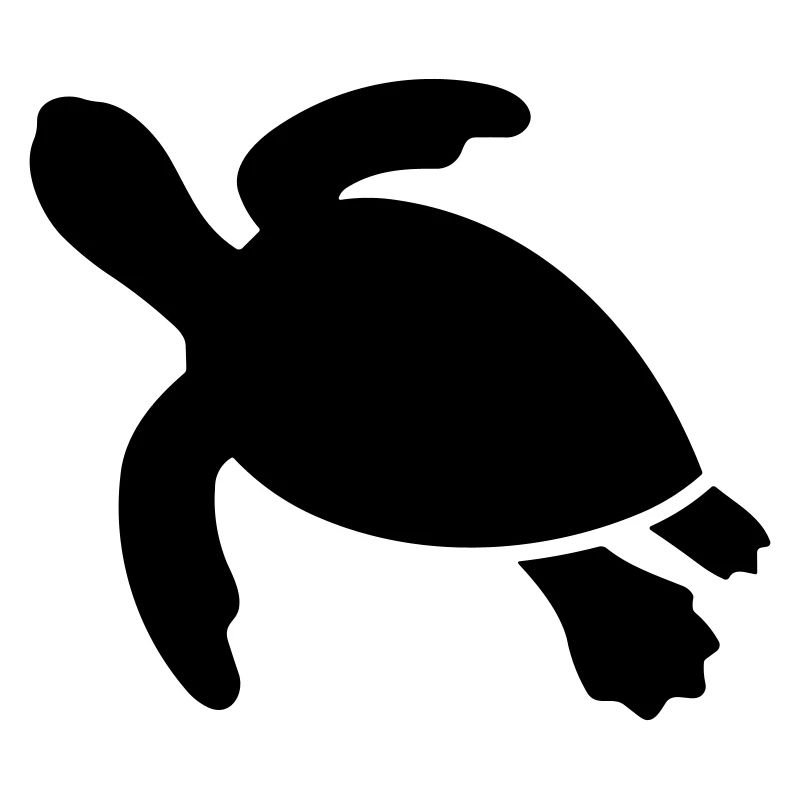 tortue