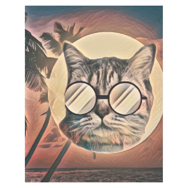 Saveur d’été de chat