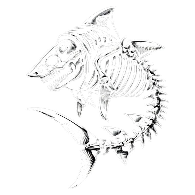 Requin