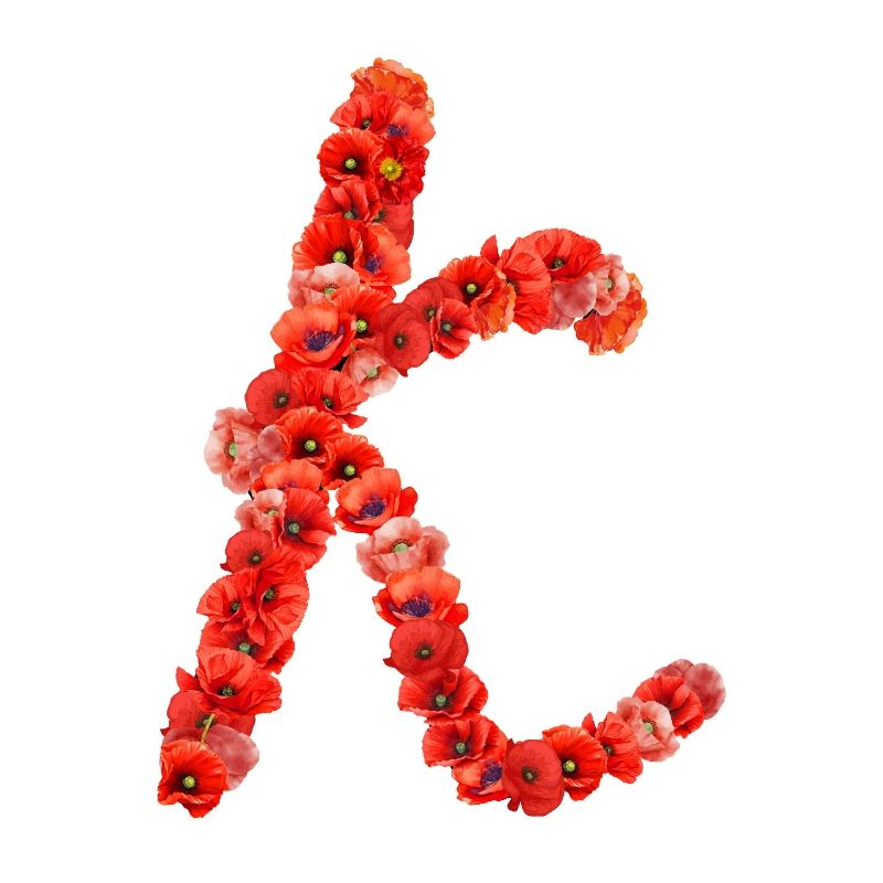 Initial K aus Mohnblumen