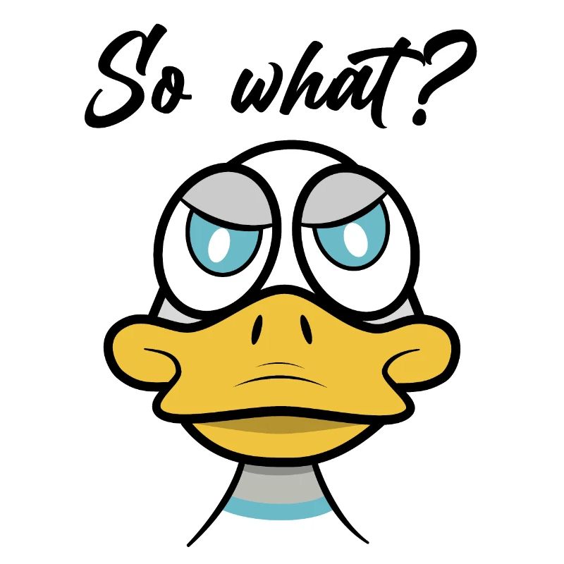 so what? mit Enten-Comic