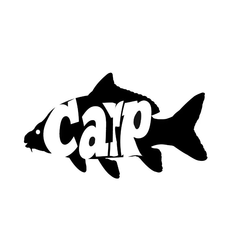 carp fish
