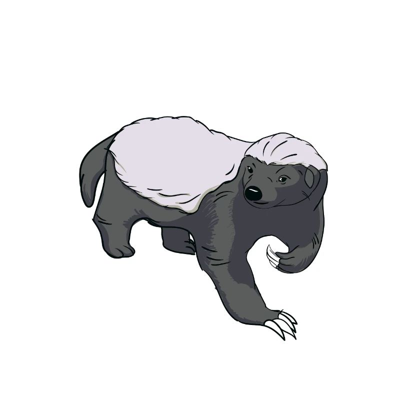 Honey badger