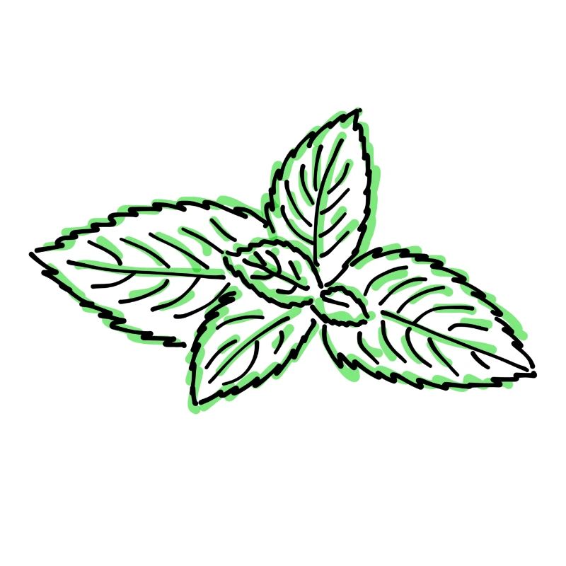 menthe