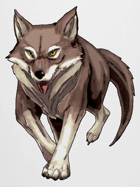 Hunting Wolf