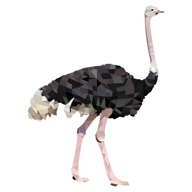 Vogelstrauss