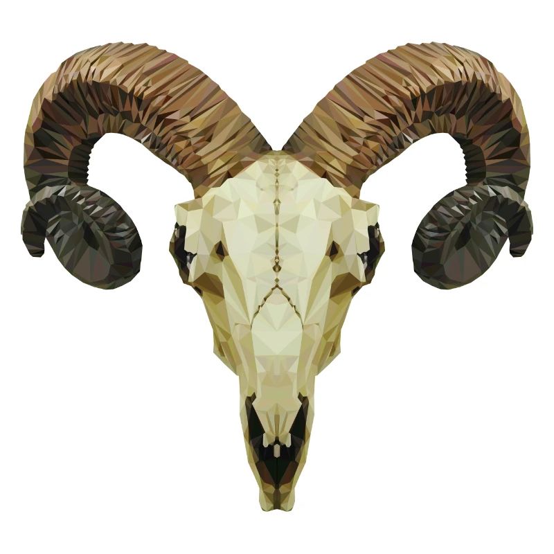 Widderschädel