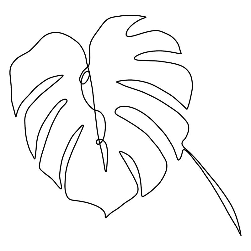 Monstera lineart