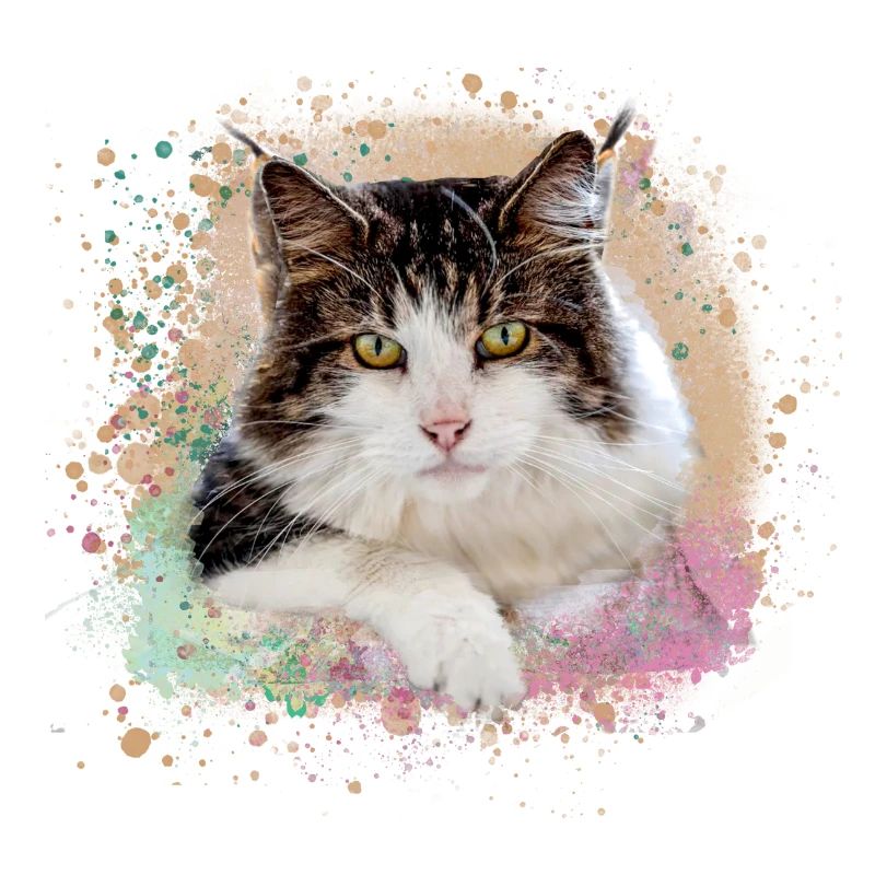 maincoon,cat,graffiti,painting, Maine Coon cat,
